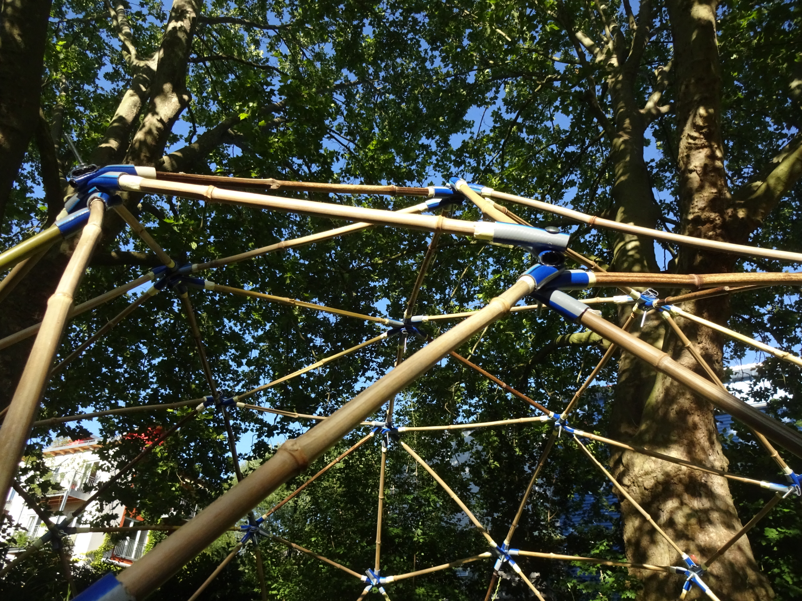 Bambus-Geodome im Park